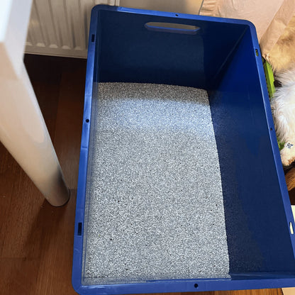 XXL Kedi Tuvaleti
